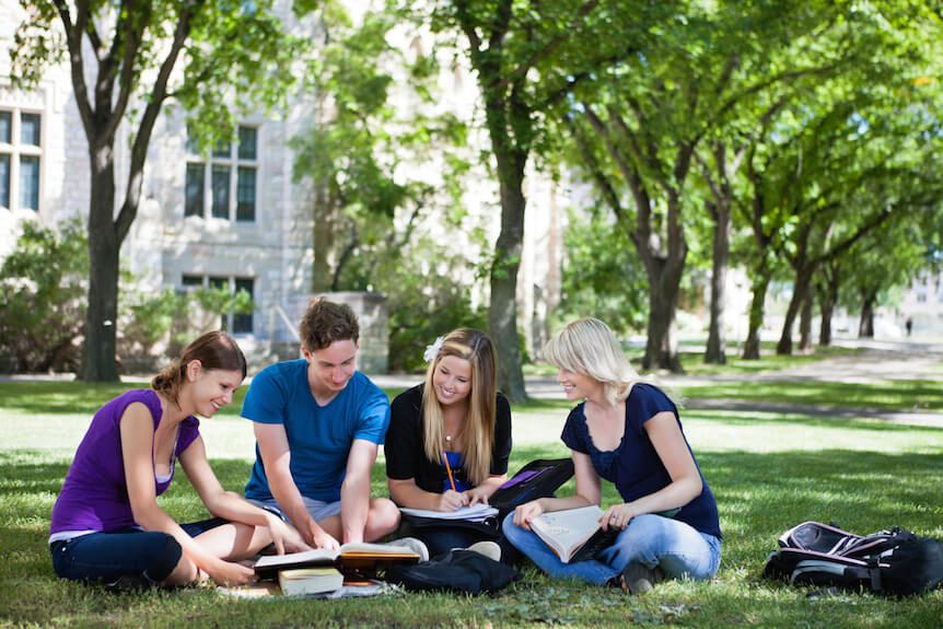 Students studying outdoors