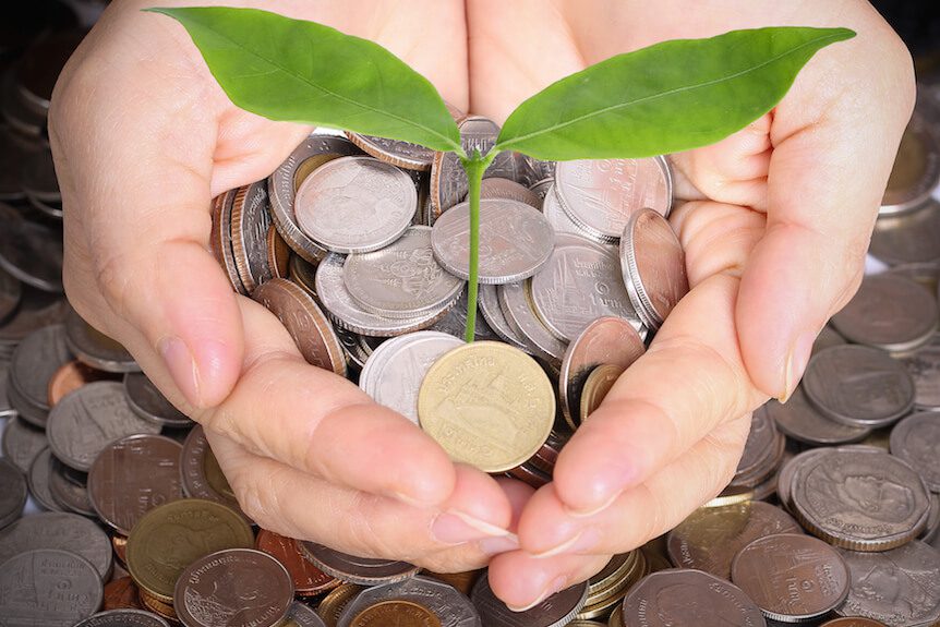 financial aid consulting plant growing out of money