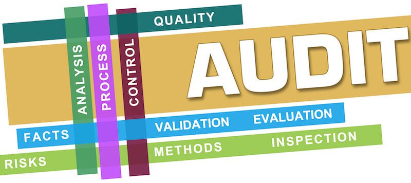 Word Graphic to display Audit Preparations.